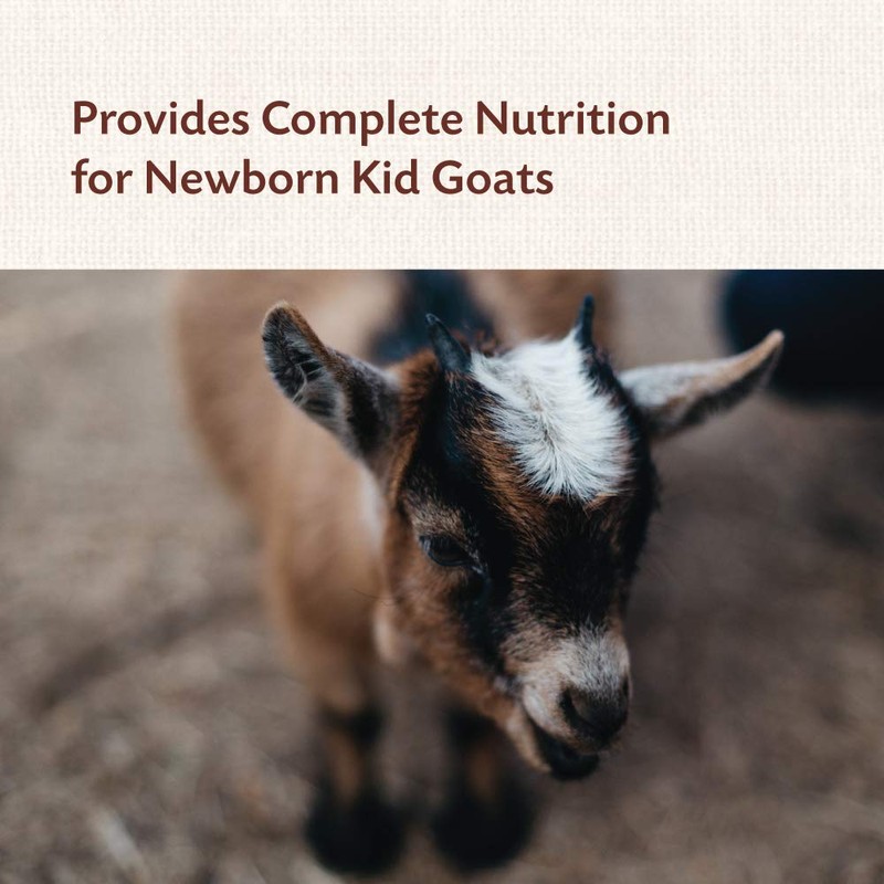 Manna Pro Goat Kid Colostrum Supplement, Feed for First 24