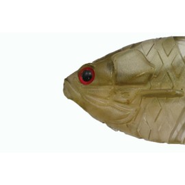 Issei Gilflat Jr. #53 Kimbua