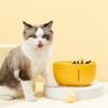 Cat Water Fountain Bee Shape 2L Capacity Water Circulation System