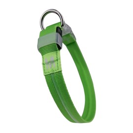 LUMIPAW Spring Green Medium LED Dog Collar | Night Walks just got safer | Ultra-Bright LED Collar | USB Rechargeable | Waterproof| Adjustable & Durable | 4 Light Modes | Keep Your Pup & Yourself Safe!