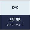 KVK Shower Head Z615B