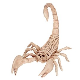 Crazy Bonez Skeleton Scorpion