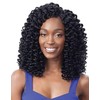Shake N Go Freetress Synthetic Hair Crochet Braids - 2X