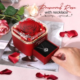 Preserved Red Real Rose with I Love You Necklace in 100 Languages,Eternal Flowers Gifts for Her Women Mum Wife Girlfriend on Christmas Valentines Day Mothers Day, Anniversary Birthday Gifts for Her