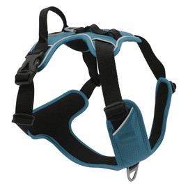 JACK AND VANILLA, Comfortable and Safe Harness for Dogs, Custom Fit, Modern and Attractive Design, Ideal for Walks, Size L, Blue, Model Expedition