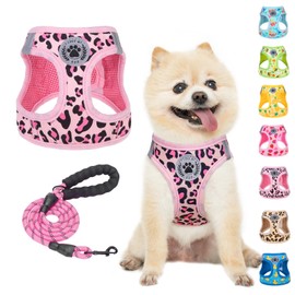 BEAUTYZOO Step in Dog Harness and Leash Set,Reflective Dog Harness No Pull No Choke Puppy Harness for Small Medium Large Dogs Cats,Soft Padded Mesh Vest Harnesses for Girl and Boy Pets, Leopard Pink S