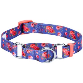 Blueberry Pet Spring Scent Inspired Rose Print Martingale Safety Training Dog Collar, Irish Blue, Medium, Heavy Duty Adjustable Collars for Dogs