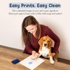 Forever Fun Times Easy-Clean Pet Paw Print Kit | Get