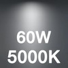 FLSNT 60W Equivalent LED Globe Candelabra Bulbs, Dimmable G16.5 LED