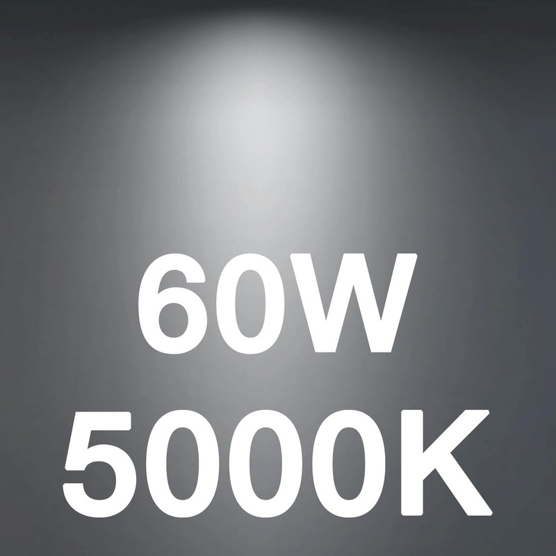 FLSNT 60W Equivalent LED Globe Candelabra Bulbs, Dimmable G16.5 LED