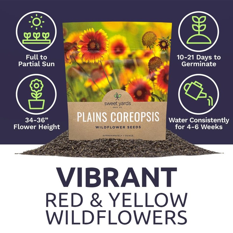 Plains Coreopsis Seeds – Native Flowers – Extra Large Packet