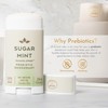 Honestly pHresh Prebiotic Natural Deodorant for Women – Aluminum &