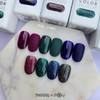 Thezel The Zell Midnight Series 7-piece set / 더젤 미드나잇