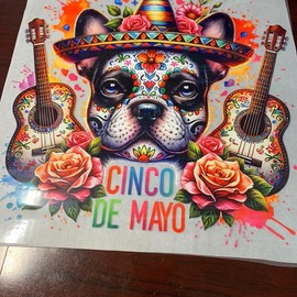 1 Dtf transfer  Cinco de Mayo vibrant colors guitar flowers Ready to Heat Press transfer film - Size: Youth