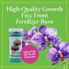 Grow More Premium Urea Free 20-10-20 Orchid Food Fertilizer -