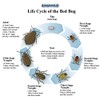 Cosyworld Bed Bug Killer, Fast and Sure Kill with Extended