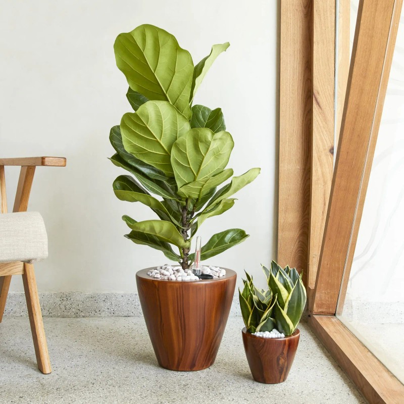 2-Pack 10-Inch Dark Wood Plastic Self-Watering Flower Pots & Planterscolor: