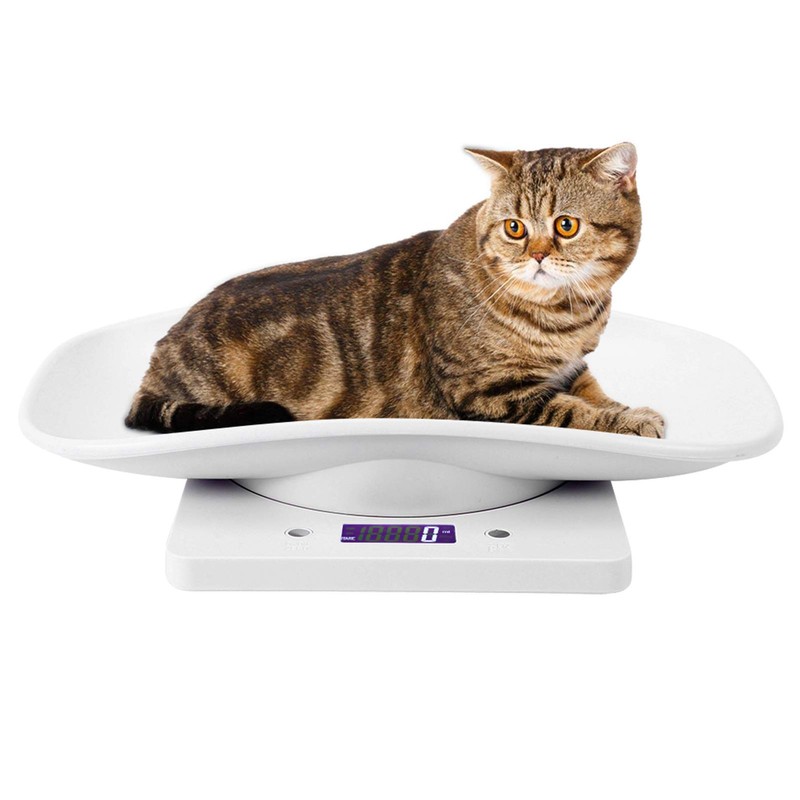 Digital Pet Scale, Multifunctional Electronic Scales Pet Scales 10kg/1g Digital