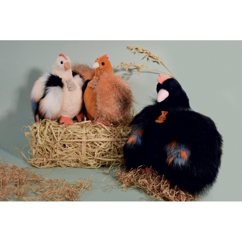 Histoire d'ours LES POULETTES PM - orange