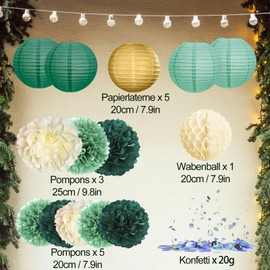 YBwanli paper pom poms decorations,paper lanterns,green party decorations,Confetti Suitable:tea party decorations,spring decorations,wedding decorations for reception,birthday party decoration 15pcs