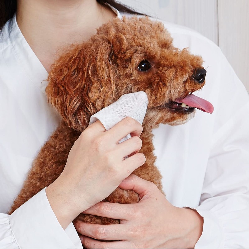 Petio Dog Cat Facial Wipe, 30 Sheets Shampoo Tissue Pack