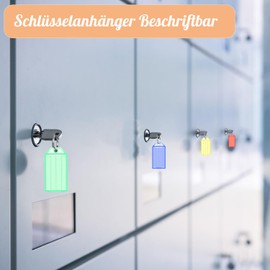 qingmeng qingmeng 30 Stück Schlüsselanhänger Beschriftbar mit 30Stück Extra Etiketten, 6 Farben Schlüssel Anhänger Schlüsselschilder mit Ring Schlüsselschilder zum Beschriften für Koffer Haustiere Gepäckstücke