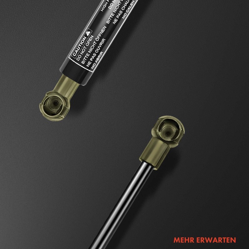 Frankberg 2 x Gas Spring Damper Bonnet Compatible with X5