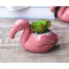 Youfui Cute Animal Succulent Planter Flower Pot Decor for Home