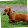 Kisangel 5sets Collar for Dog Bell Metal Dog Collar Accessory
