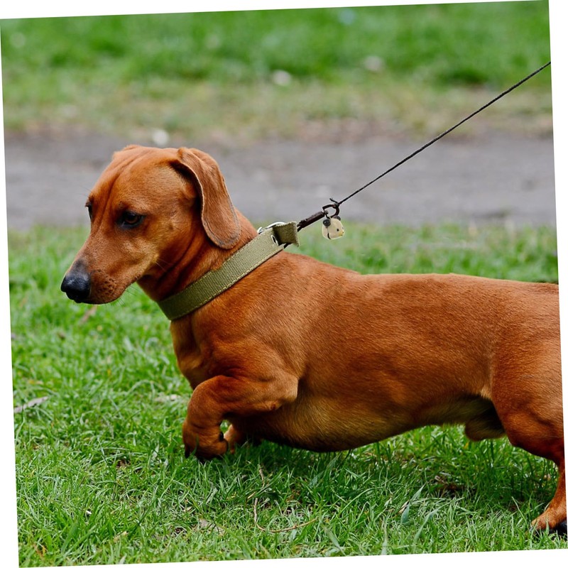Kisangel 5sets Collar for Dog Bell Metal Dog Collar Accessory