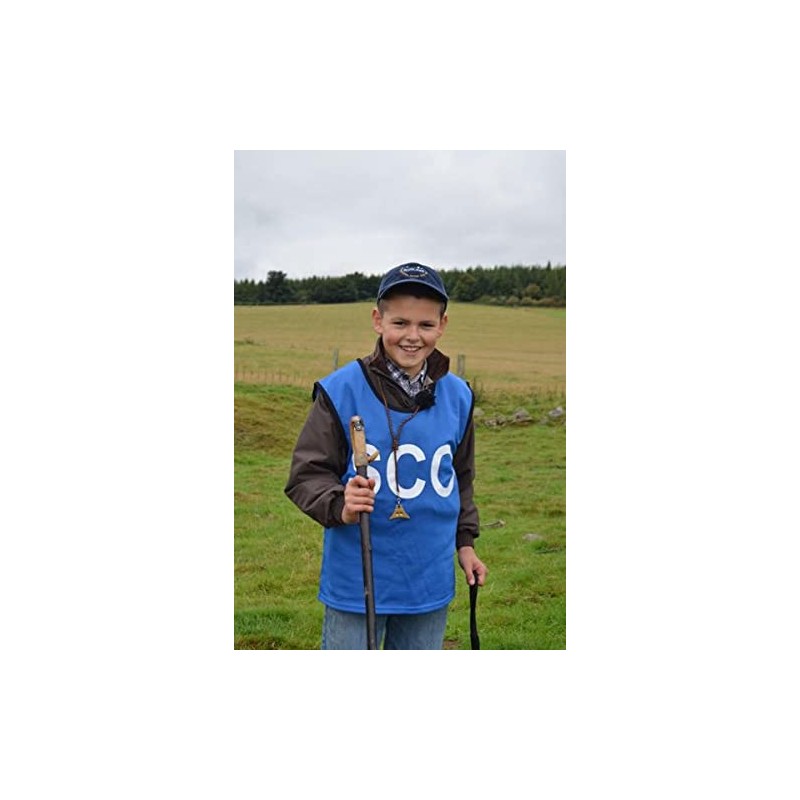 Logan Turbo Solid Brass Shepherd Whistle (Whistle Only)