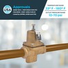 Cash Acme 3/4 Inch EB75 FPT x FPT Pressure Regulator