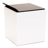 Butterfly Plastic Tissue Case