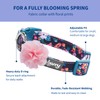 Blueberry Pet Made Well Elegant Floral Print Adjustable Dog Collar