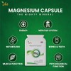Ved's Extra Strength Magnesium Casules| Natural Food Supplement | 500