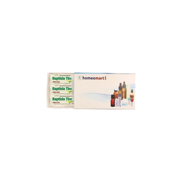 homeomart.com Baptisia Homeopathy Pellets (Pills) in 6C Potency Pack of