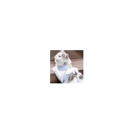 Pickle Pet Supply for dogs, cats and daily pet care, pet care accessory or treat, Pickle Korean Import, Pet Care Essential, pet care or