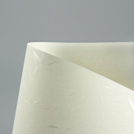 Doosung Paper Saekdaerye paper D102 Inuiyeji A4 110g 20 sheets off-white Doosung paper / 색대례지 D102 인의예지 A4 110g 20매 미색 두성종이