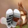 LEVLO 2 Pairs Squirrel Socks Squirrel Lover Gift My Spirit