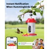 Hummingbird Feeder with Camera Solar Powered W/32G Card, AI Identify