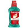 Colgate Total Pro-Shield Alcohol Free Mouthwash, Antibacterial Formula, Spearmint -