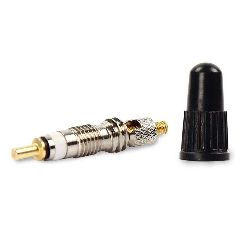 POFET 10pcs Universal Removable Tubeless Presta Valve Cores Silver