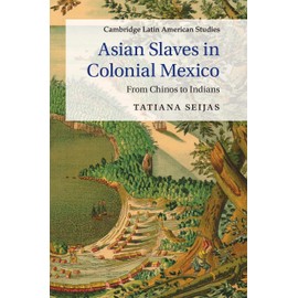 Asian Slaves in Colonial Mexico: From Chinos to Indians (Cambridge Latin American Studies, 100, Band 100)