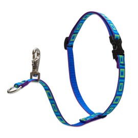 Lupine Sea Glass No Pull Harness for Small to Medium Dogs, 16 to 26-Inch