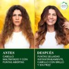 HERBAL ESSENCES BioRenew, Nutre leo Finalizador - aceite para cabello