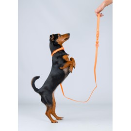 HUGO & HUDSON Waterproof Dog Lead, Anti Odor Easy Clean Padded Handle Pet Leash, Orange, 120 x 2.5cm