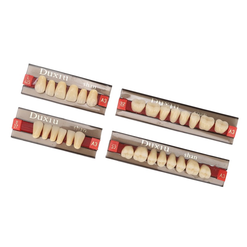 Dental Synthetic Resin Denture Tooth Professional Men Women Shade A3