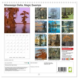 Mississippi Delta, Magic Swamps (Wall Calendar 2026 12" x 24" / 30 x 60 cm (open)) CALVENDO 12 Month Wall Calendar