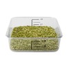 Rubbermaid Commercial contenedor Ahorra Espacio, Solo contenedor, Transparente