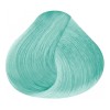 RBL Tinte Rbl Fantasía Menta Tubo 90gr